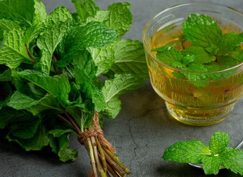 تصویر 4 از قیمت خرید گیاه دارویی نعناع فلفلی + فروش ویژه